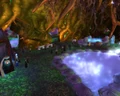 Howling Oak.jpg