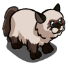 Himalayan Cat-icon.png