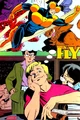 Fly Impact 001