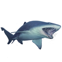 Huge item sandtiger 01.png