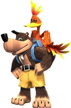 Banjo New