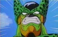Cell24