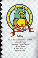 Vol-4-BallHog