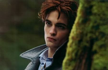 Edward-tree1