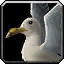 Inv misc seagullpet 01.png