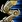 Charge SC2 Icon1.jpg