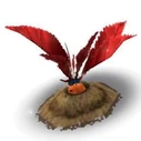 Red Mandrake Harvest