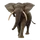 Item africanelephant 01