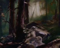 Bosque-Bambi