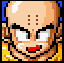 SSDKrillin2