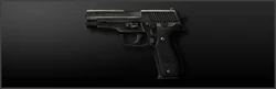 Main p226