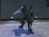 Sword SpecOps