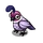 Lilac Quail