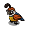 Blue Quail-icon.png