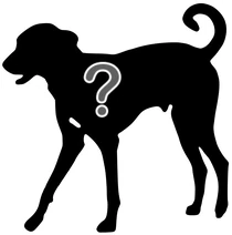 Dog silhouette