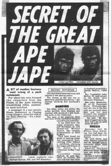 Ape jape