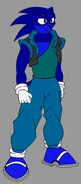 Damashi the Hedgehog