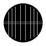 The-Cell.jpg