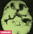Mind.jpg