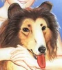 Lassie01.jpg
