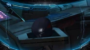 Adam's helmet