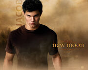 Jacob-Black-New-Moon-twilight-series-7256332-1280-1024