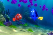 Findingnemo0188
