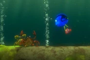 Findingnemo1006