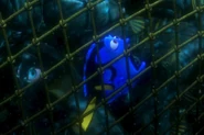 Findingnemo1030