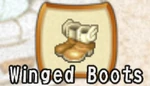 Winged boots