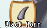 Black horn