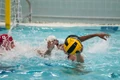 Blackman 20100828 4706.jpg