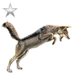 Item blackbackedjackalsilver 01.png