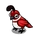 Red Quail