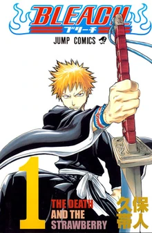 Bleach01.jpg