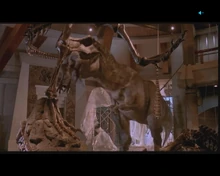 DVDPlay 2010-10-01 22-01-42-04