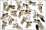 ConceptMantis