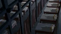 BaoGu3.PNG