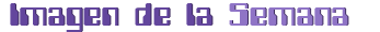 IM-portada.png