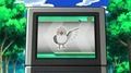 EP662 Pidove en la Pokédex.jpg