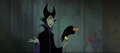 Maleficent.jpg