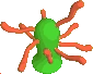 OrangeRoper