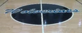 Wolverines-whole-logo.jpg