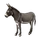 Item asino 01