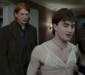 Harryfleur