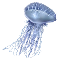 Huge item manofwarjellyfish 01.png