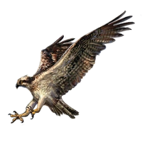 Huge item osprey 01.png