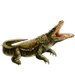 Coccodrillo