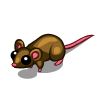 Brown Rat-icon.png