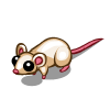 White Rat-icon.png